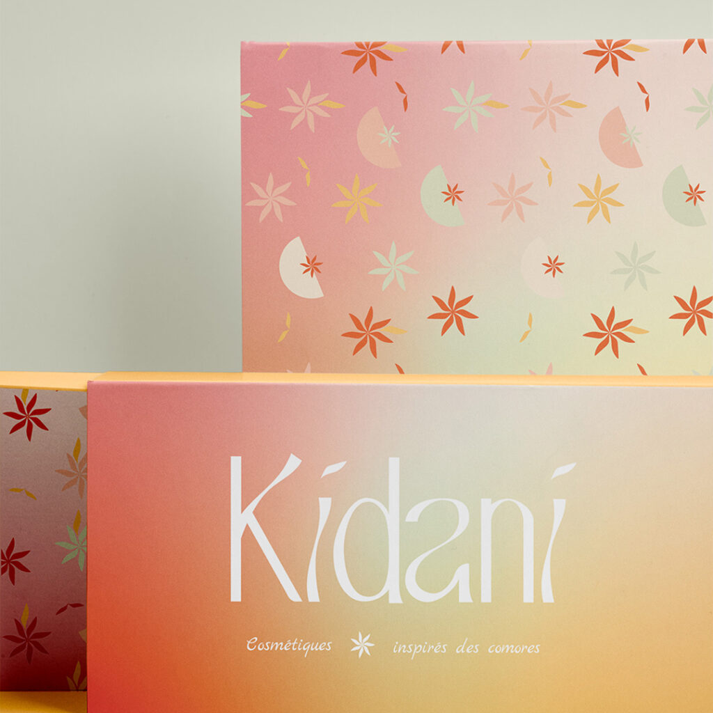 logo principal kidani