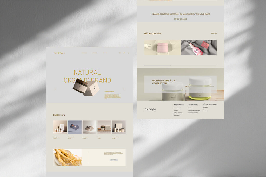 Site e-commerce the origins